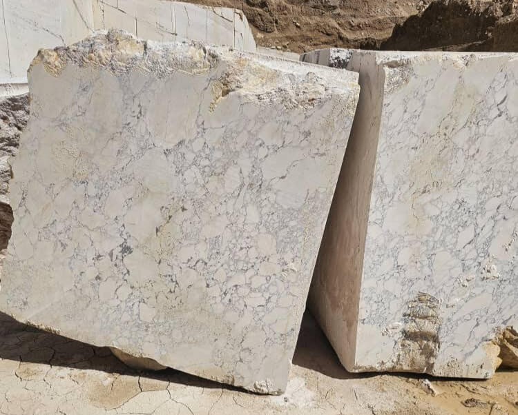 Close-up of two large, rectangular blocks of white marble with grey veining, resting on cracked earth in a quarry